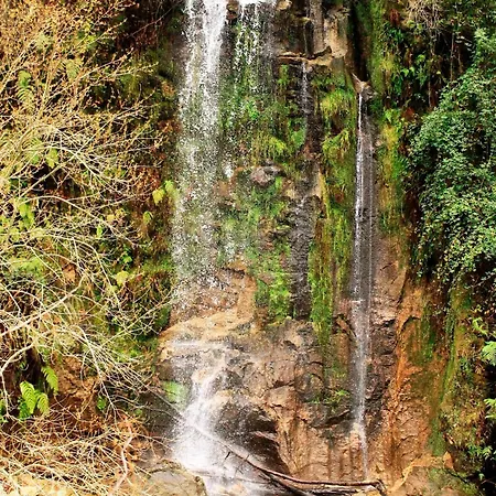 Casa Do Palheiro De Cima ジェレス