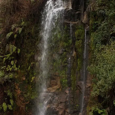 別荘 Casa Do Palheiro De Cima
