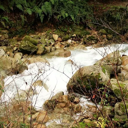 別荘 Casa Do Palheiro De Cima ジェレス