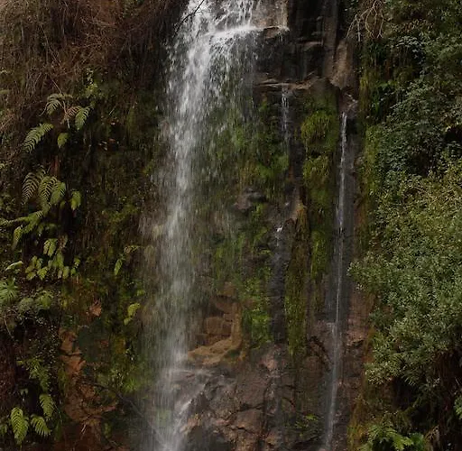 펜션 Casa Do Palheiro De Cima